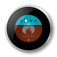 Nest as Security System